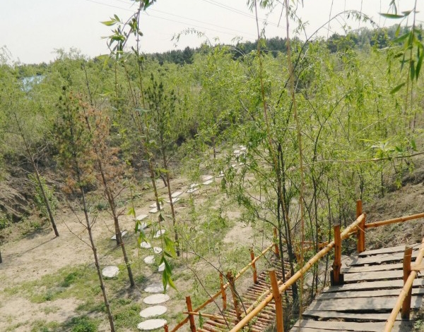 培训基地