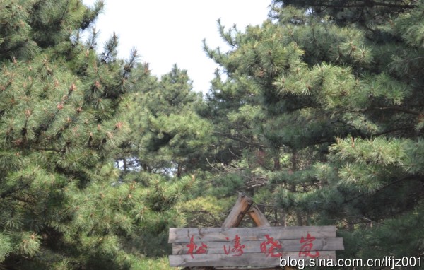 培训基地