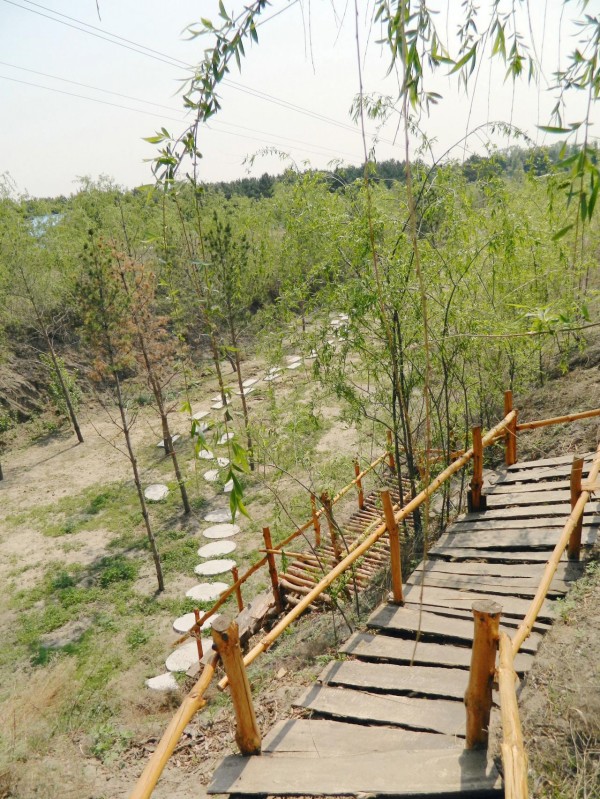 一马树公园30.jpg
